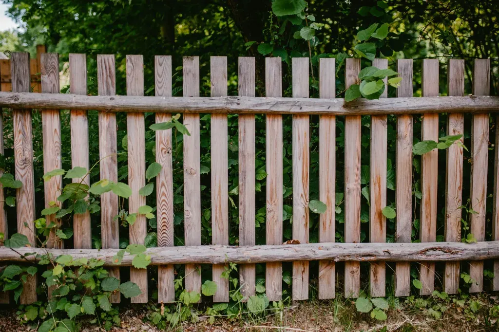 Drewniane ogrodzenie